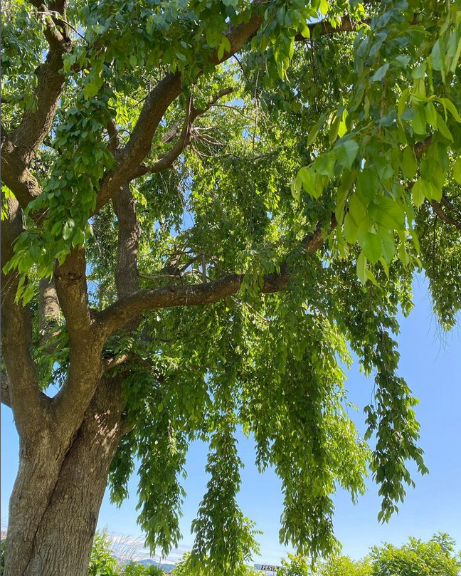 Instagram「オンオフも大事」